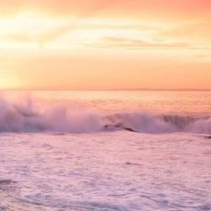 Meet your Posher, Ricky